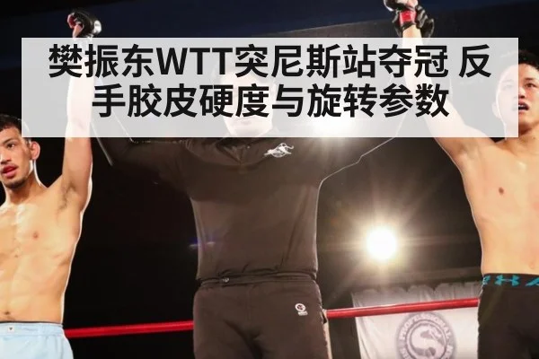 樊振东WTT突尼斯站夺冠 反手胶皮硬度与旋转参数